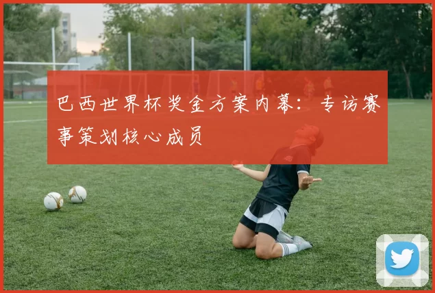 巴西世界杯奖金方案内幕：专访赛事策划核心成员