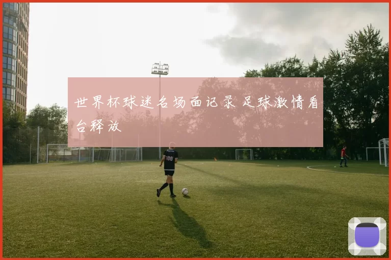 世界杯球迷名场面记录 足球激情看台释放
