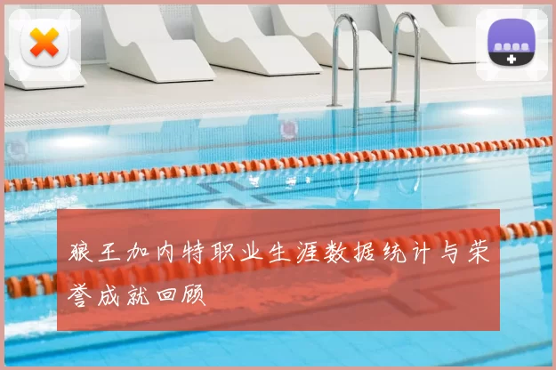 狼王加内特职业生涯数据统计与荣誉成就回顾