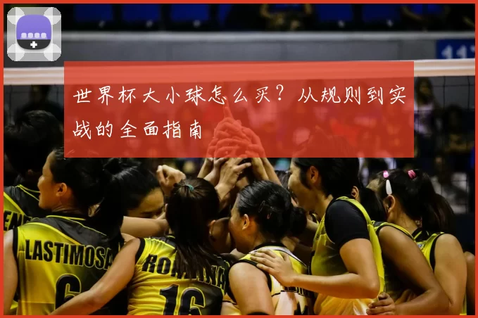 世界杯大小球怎么买？从规则到实战的全面指南