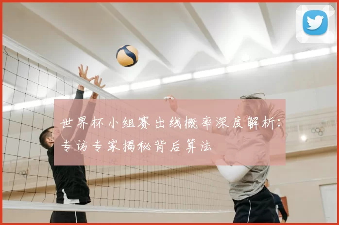 世界杯小组赛出线概率深度解析：专访专家揭秘背后算法