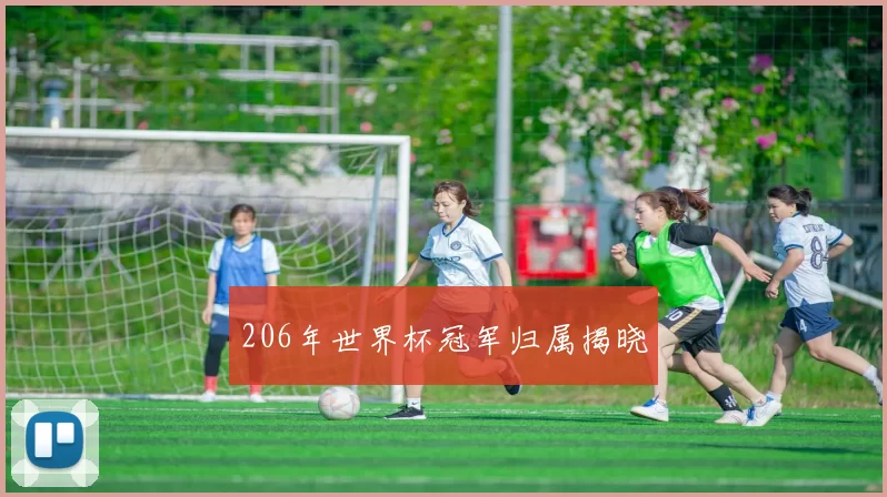206年世界杯冠军归属揭晓