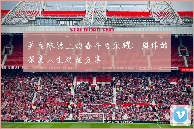 乒乓球场上的奋斗与荣耀:周伟的深度人生对话分享