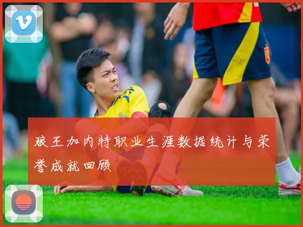 狼王加内特职业生涯数据统计与荣誉成就回顾