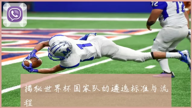 揭秘世界杯国家队的遴选标准与流程