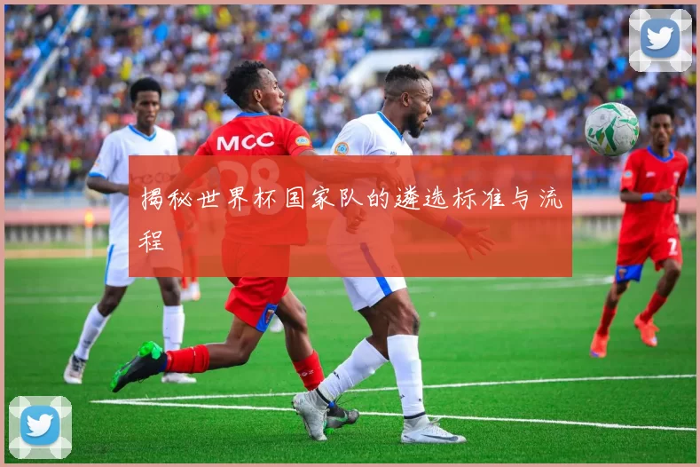 揭秘世界杯国家队的遴选标准与流程