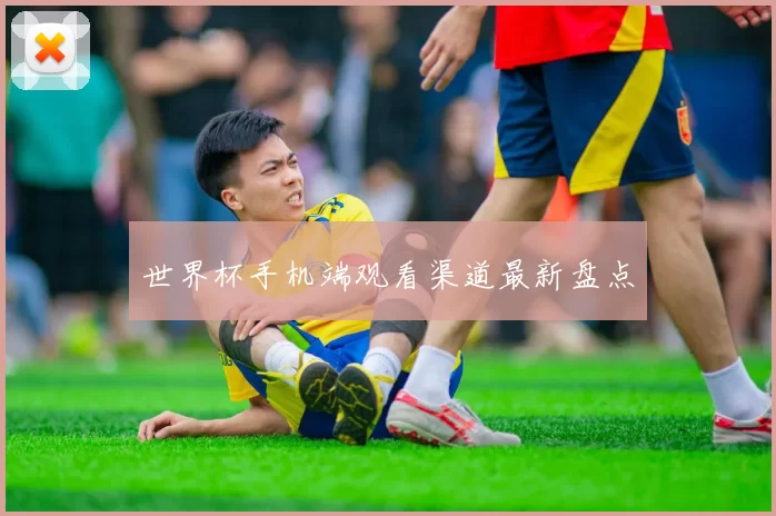 世界杯手机端观看渠道最新盘点