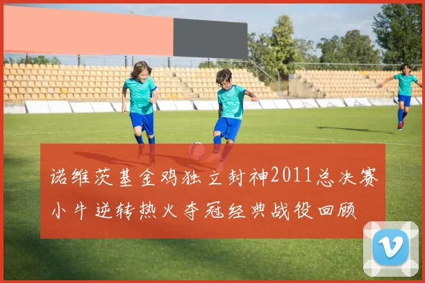诺维茨基金鸡独立封神2011总决赛小牛逆转热火夺冠经典战役回顾