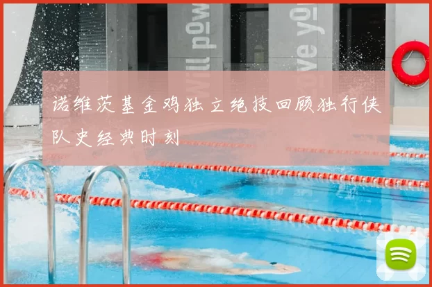 诺维茨基金鸡独立绝技回顾独行侠队史经典时刻