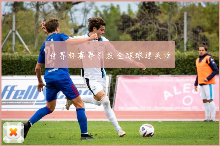 世界杯赛事引发全球球迷关注