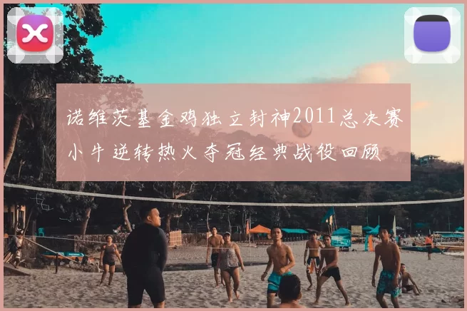 诺维茨基金鸡独立封神2011总决赛小牛逆转热火夺冠经典战役回顾