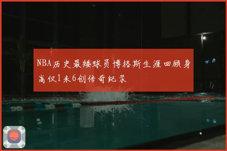 NBA历史最矮球员博格斯生涯回顾身高仅1米6创传奇纪录