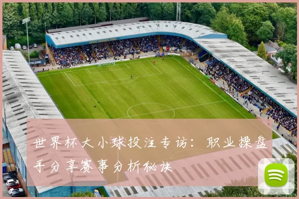 世界杯大小球投注专访：职业操盘手分享赛事分析秘诀