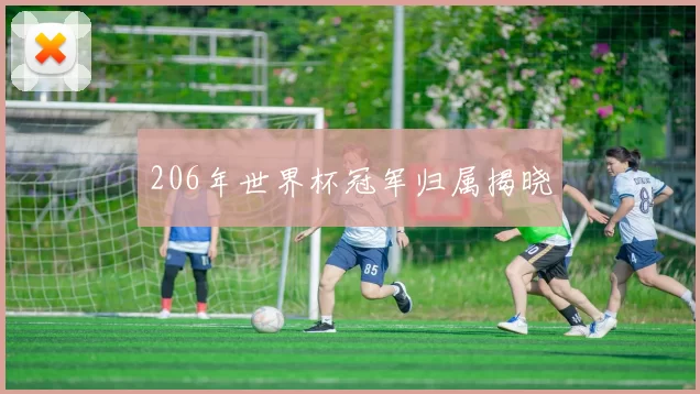206年世界杯冠军归属揭晓