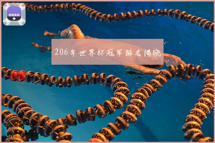 206年世界杯冠军排名揭晓